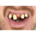 Teeth Billy Bob - Tiger Teeth
