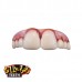 Teeth Billy Bob Megabucks