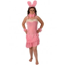 Sexy Velvet Pink Bunny Costume 4pc