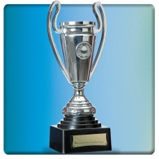 Trophy Cup on Stand 24cm