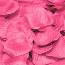 Confetti Rose Petal Deluxe Pink 144