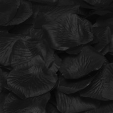 Confetti Rose Petal Deluxe Black 144