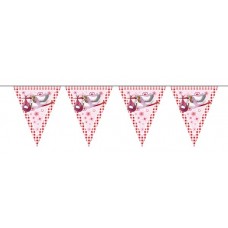 Bunting New Arrival Its a Girl 10m