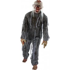 Rotting Costume & Mask