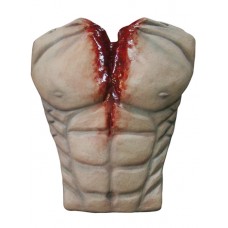 Bloody Chest Cover