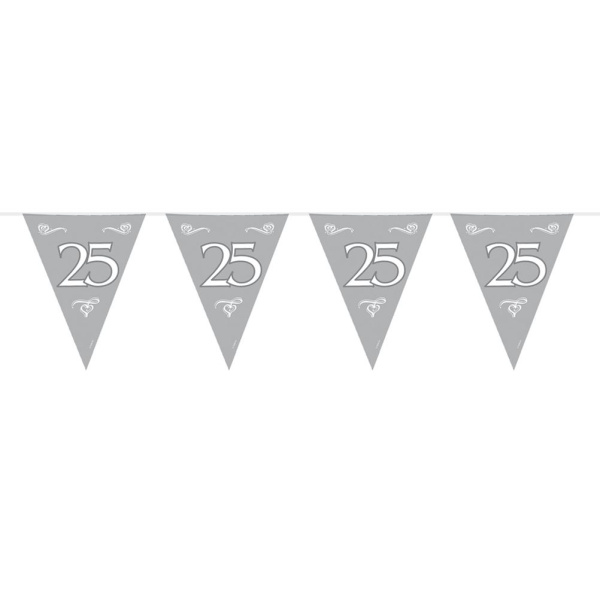 25TH SILVER ANNIVERSARY TRIANGLE BUNTING - 10M