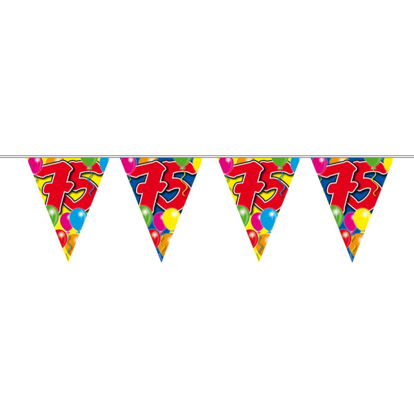 75TH BIRTHDAY BALLOON TRIANGLE BUNTING - 10M