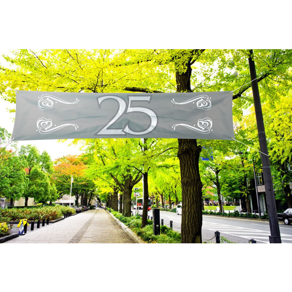 25TH SILVER ANNIVERSARY BANNER 180CM X 40CM