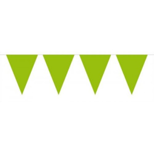 GREEN XL TRIANGLE BUNTING - 10M