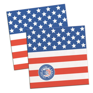 20 X USA STARS & STRIPES COCKTAIL NAPKINS - 25CM