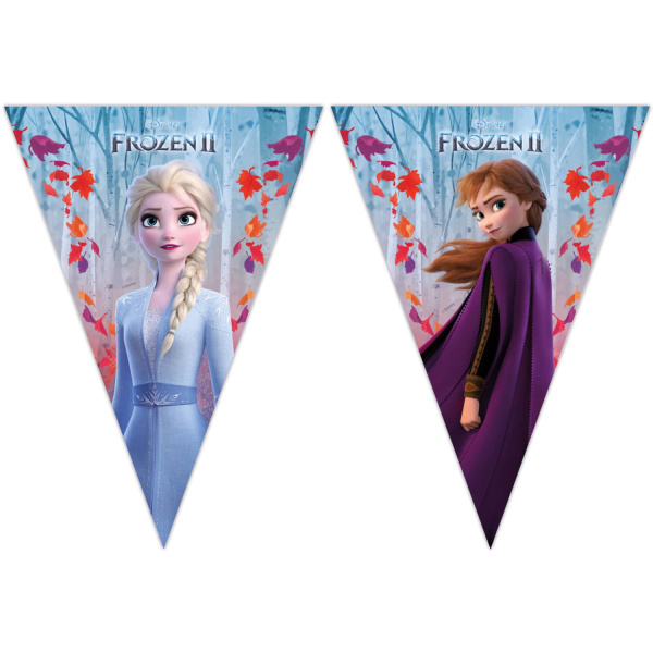 DISNEY FROZEN 2 BUNTING - 2M