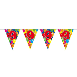 9TH BIRTHDAY BALLOON TRIANGLE BUNTING - 10M