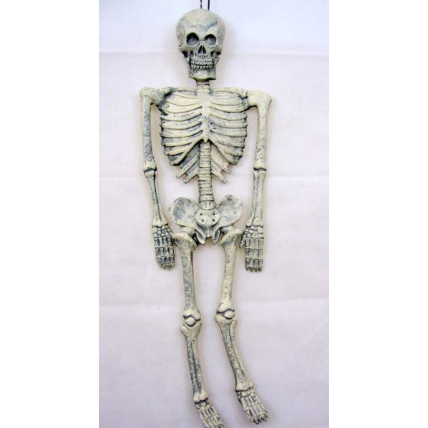 SKELETON 90CM LONG HALLOWEEN