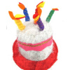 HAT BIRTHDAY CAKE WITH CANDLES SILVER RD