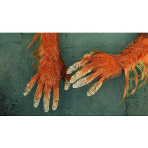 ORANGUTAN LATEX HANDS THEATRICAL GLOVES