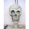 SKELETON 90CM LONG HALLOWEEN