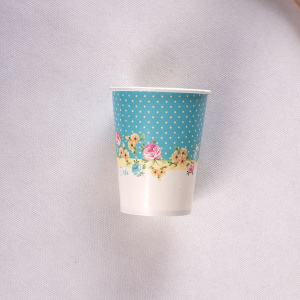 CUPS SHABBY CHIC 250CC 10'S